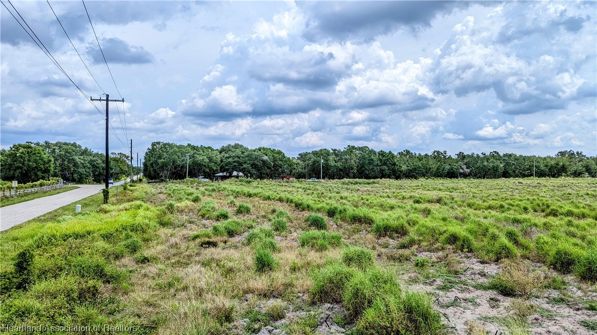 County Line Road Ona, FL 33865 - Photo 9 of 15 Gallery Image 9