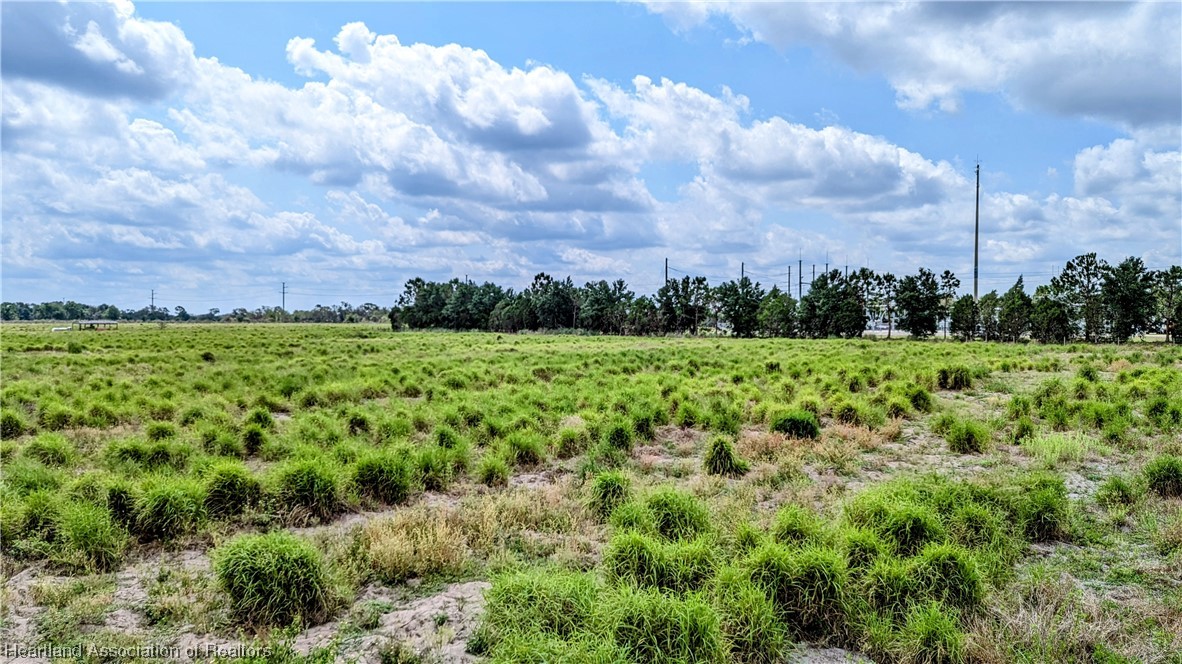 County Line Road Ona, FL 33865 - Photo 10 of 15 Gallery Image 10