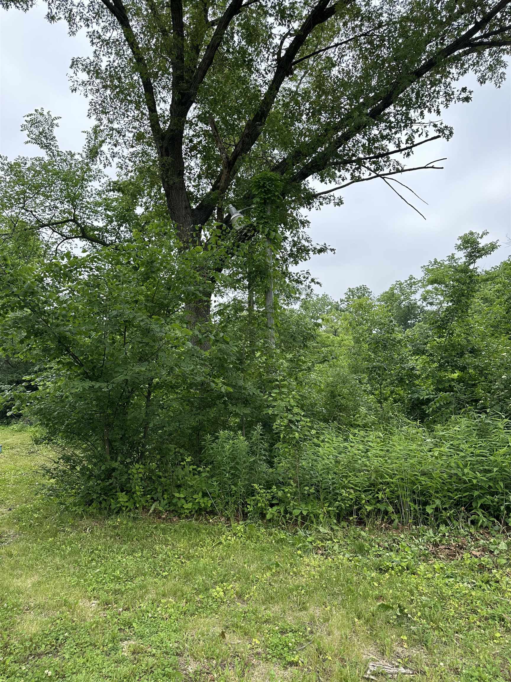 21040 Smit Road Morrison, IL 61270 - Photo 6 of 16 a view of a garden