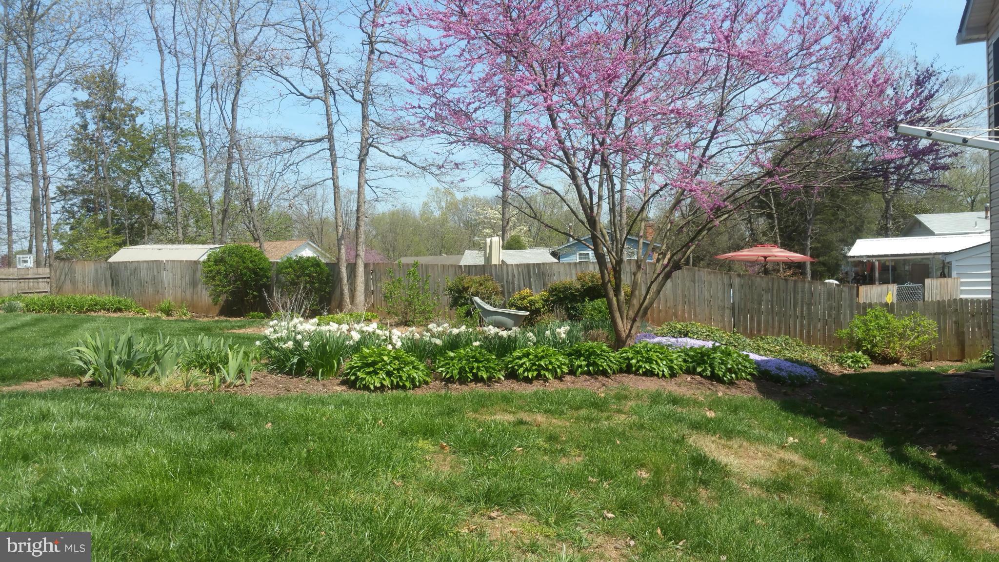 10004 Botsford Road Manassas, VA 20109 - Photo 14 of 20 Exterior (Rear)