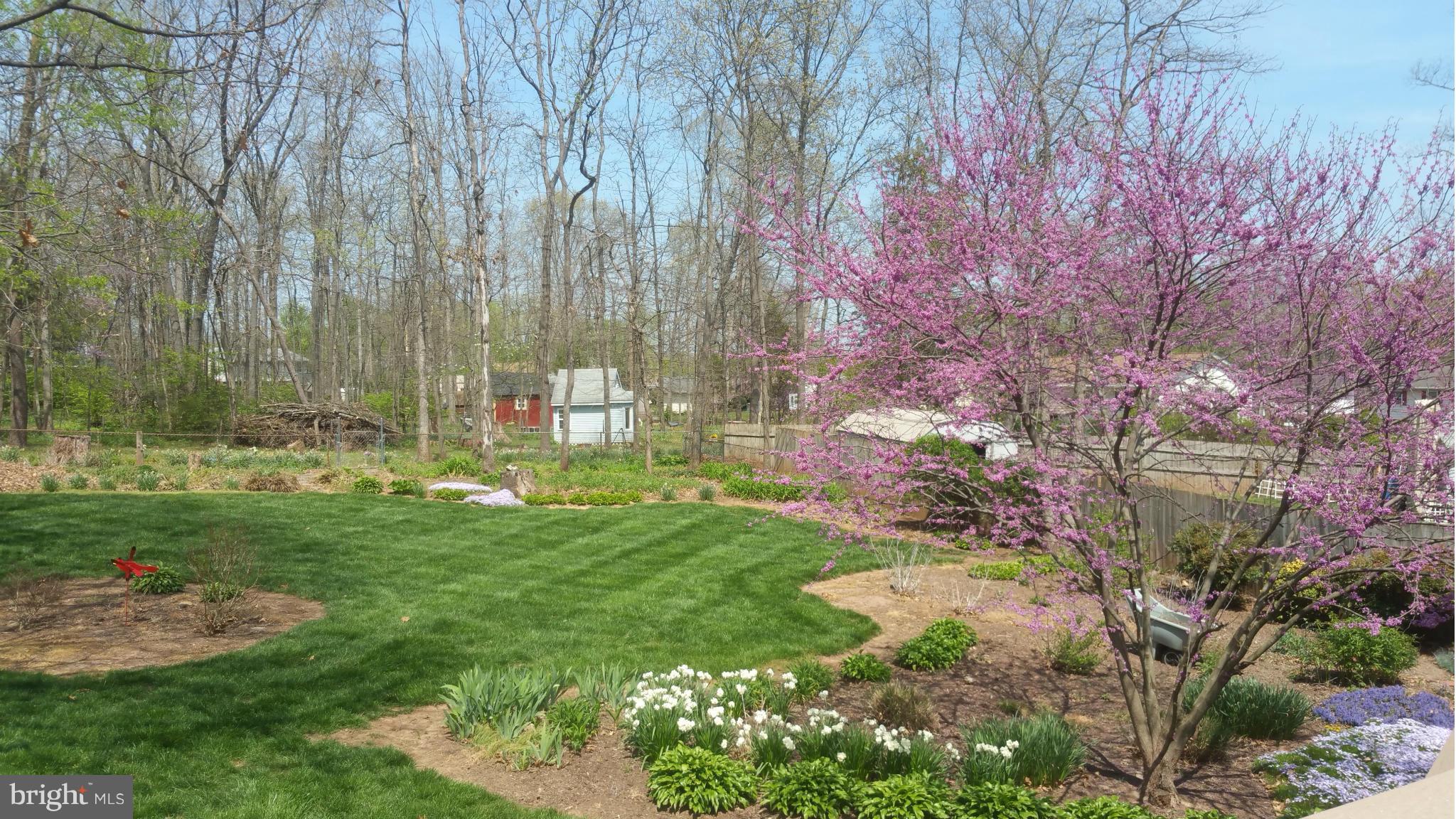 10004 Botsford Road Manassas, VA 20109 - Photo 16 of 20 Exterior (Rear)