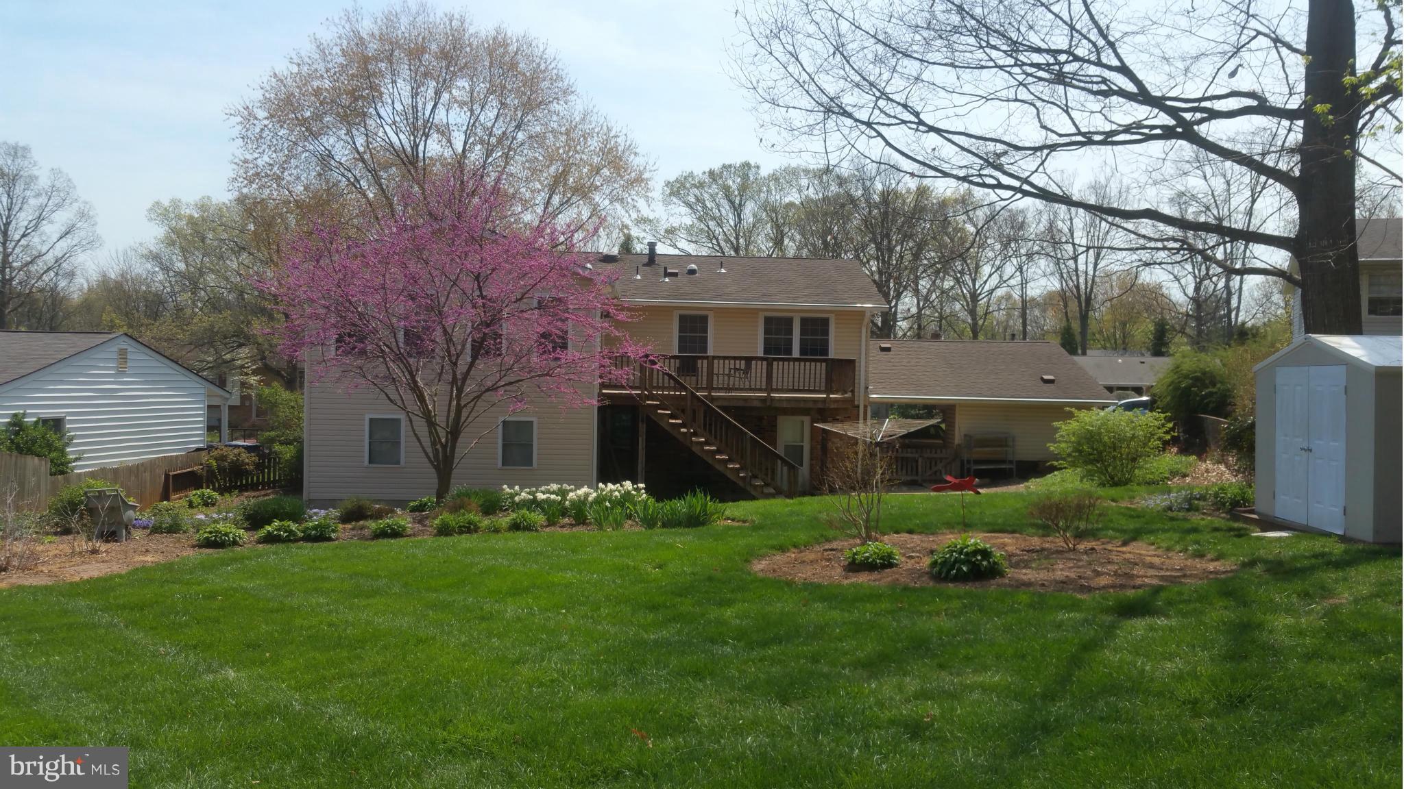 10004 Botsford Road Manassas, VA 20109 - Photo 19 of 20 Exterior (Rear)