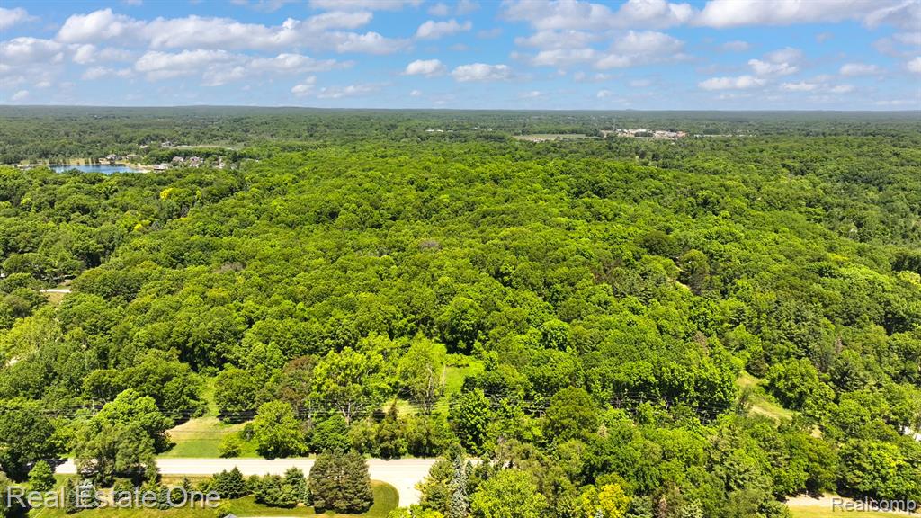 1832 West Commerce Road Milford, MI 48380 - Photo 9 of 13