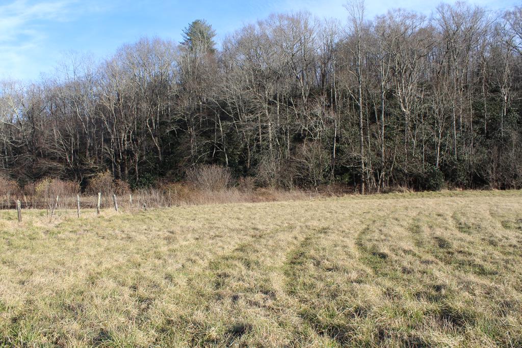 5018 Spring Road Patrick Springs, VA 24133 - Photo 20 of 21 Gallery Image 20