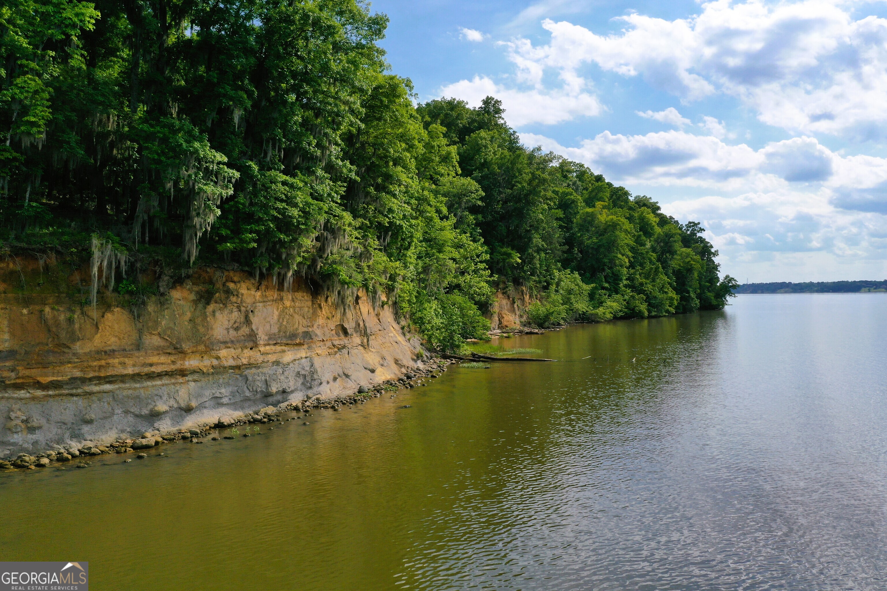 0 Watson Spur Road Georgetown, GA 39854 - Photo 11 of 32 a view of lake with green space