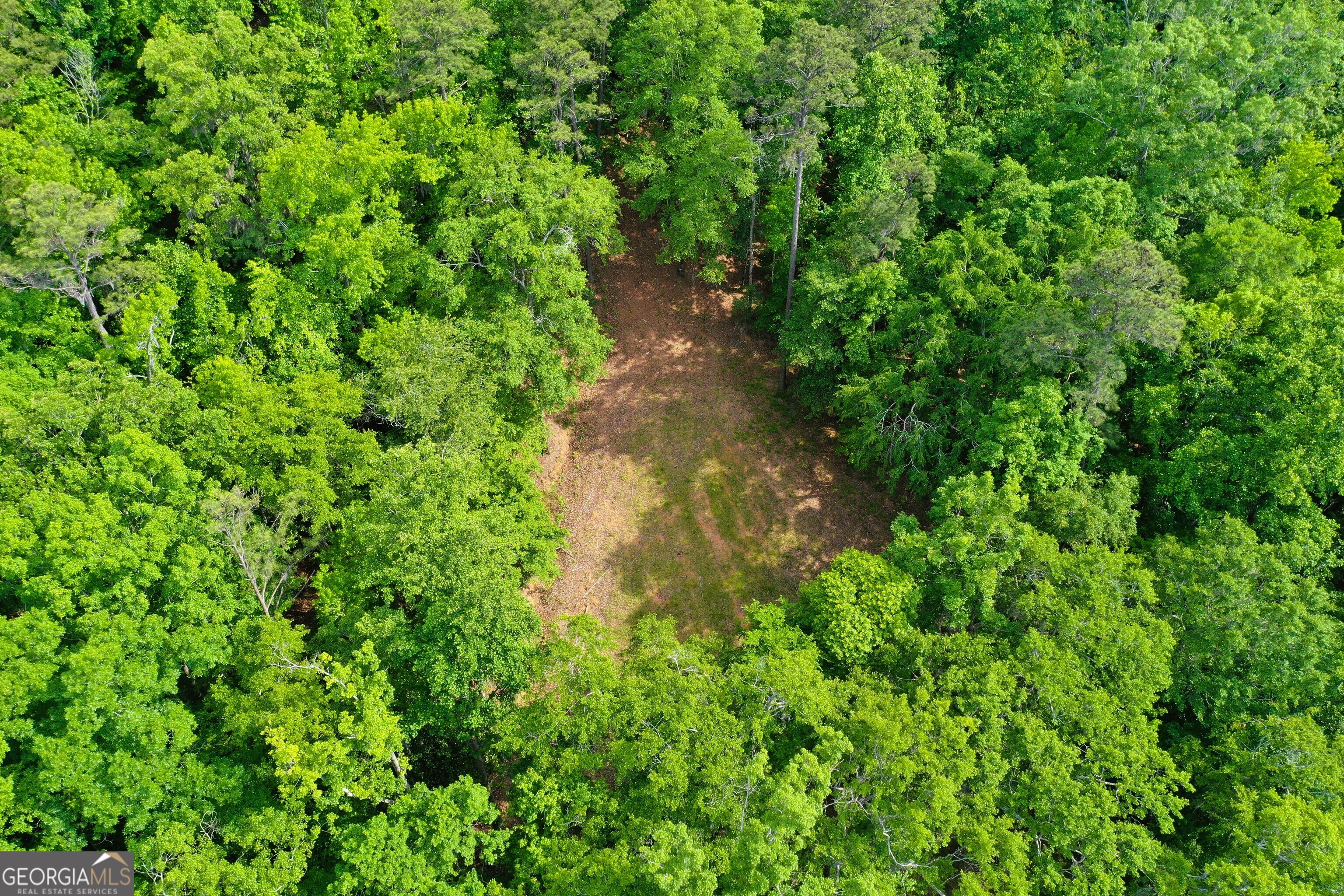 0 Watson Spur Road Georgetown, GA 39854 - Photo 12 of 32 a backyard of a house with lots of green space