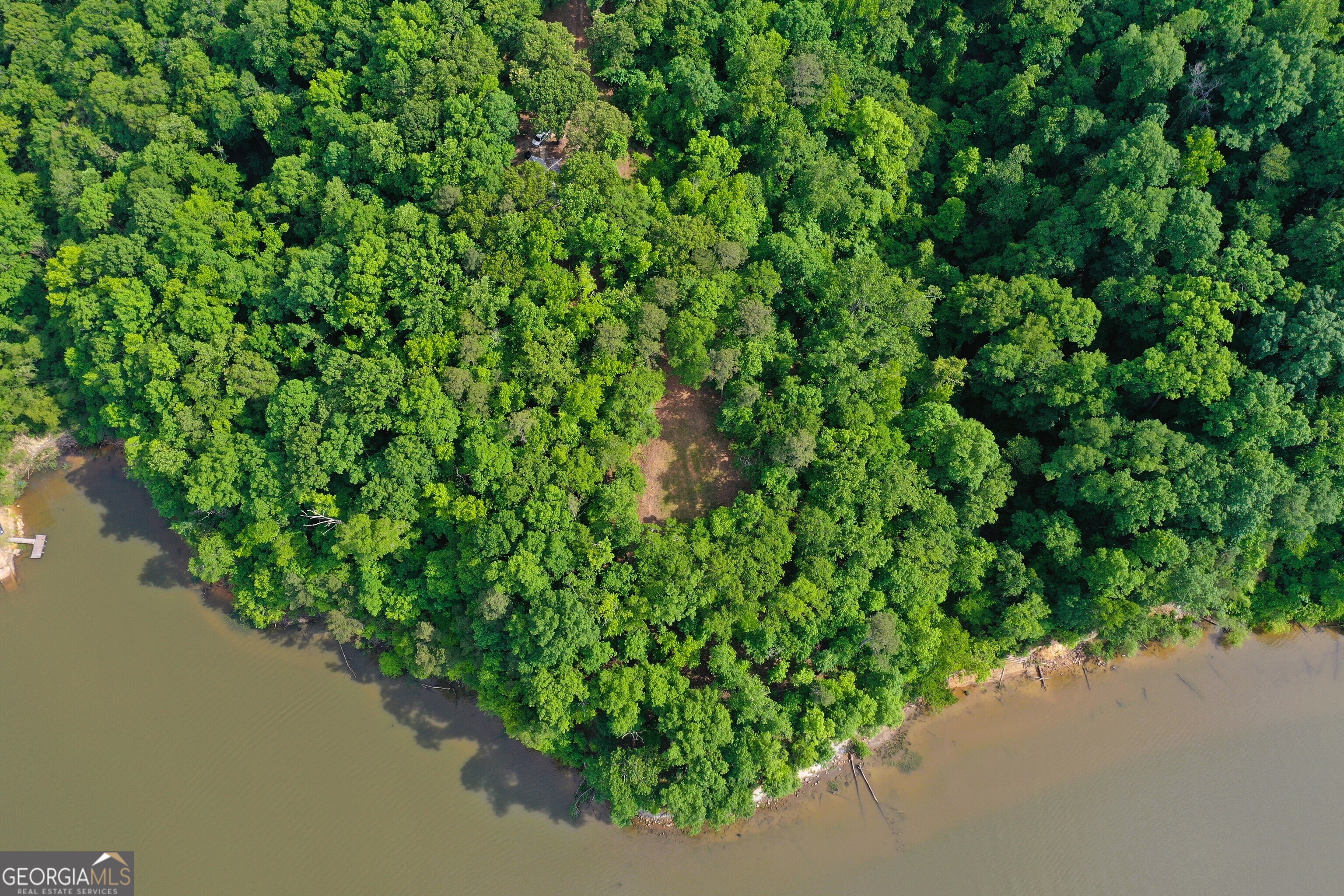 0 Watson Spur Road Georgetown, GA 39854 - Photo 13 of 32 a view of a garden with a plant