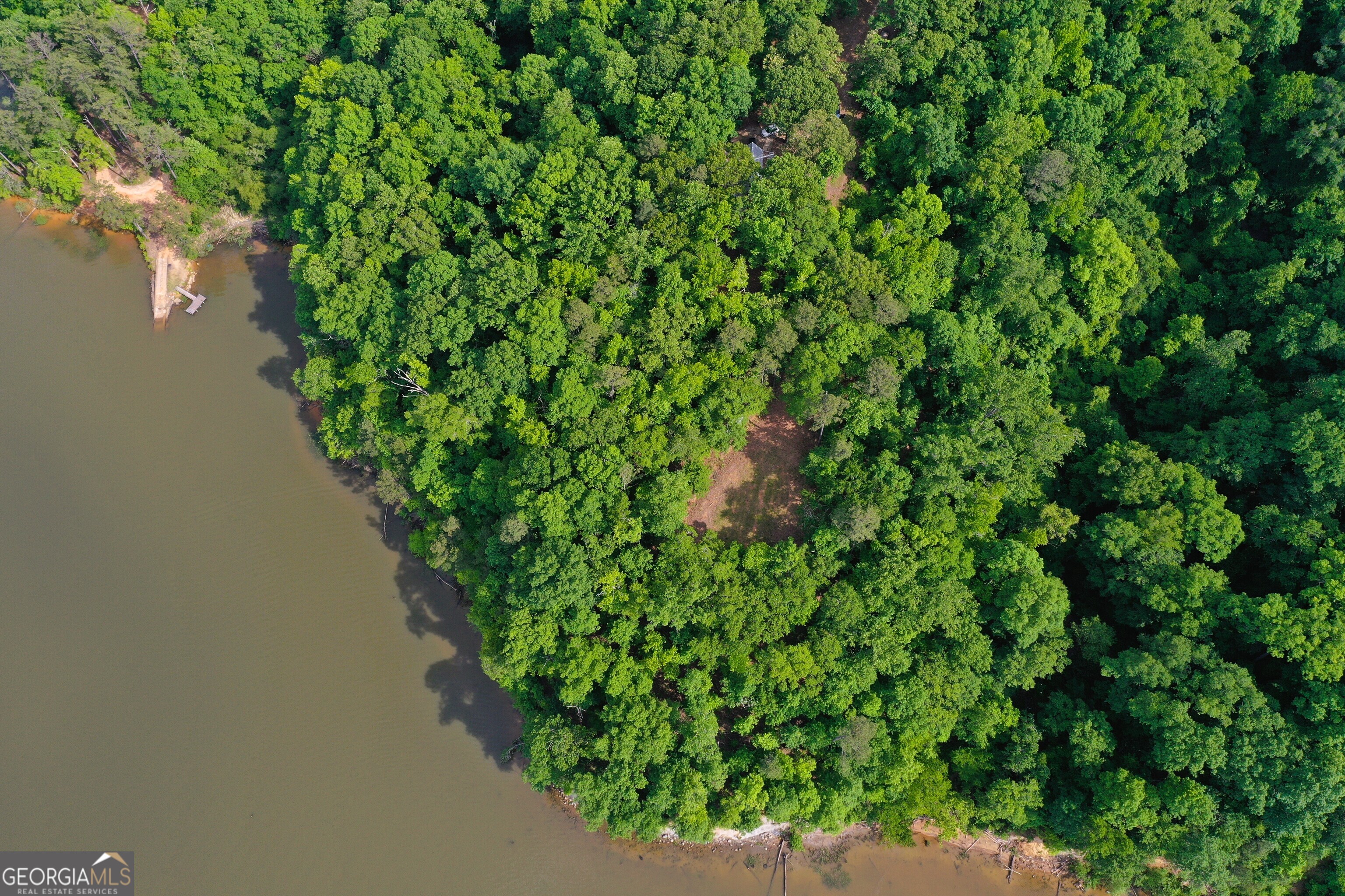 0 Watson Spur Road Georgetown, GA 39854 - Photo 14 of 32 a view of a garden