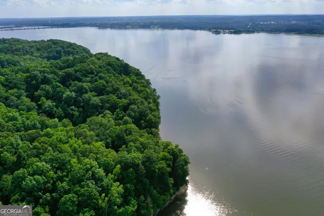 a view of a lake from a yard