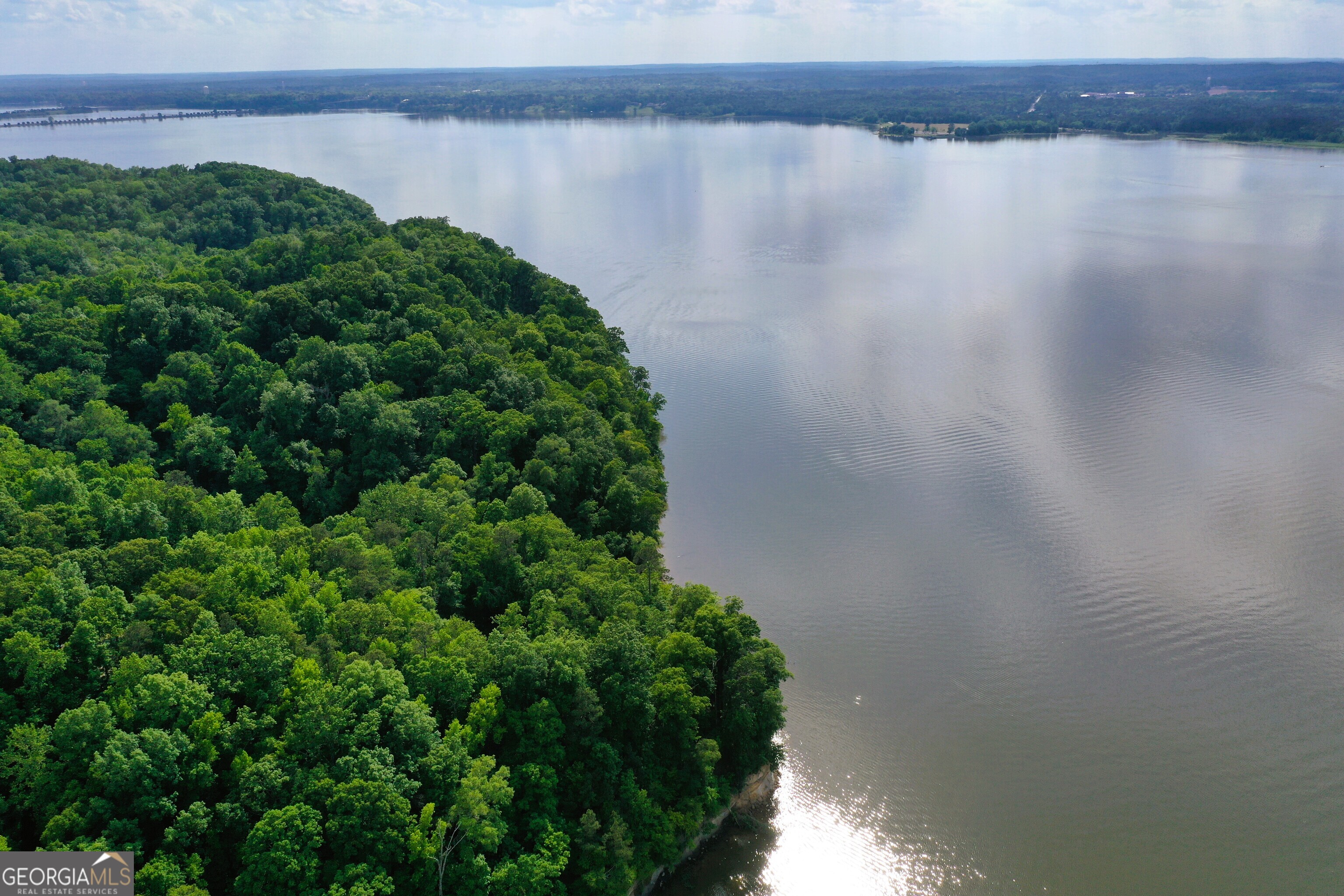 0 Watson Spur Road Georgetown, GA 39854 - Photo 15 of 32 a view of a lake view