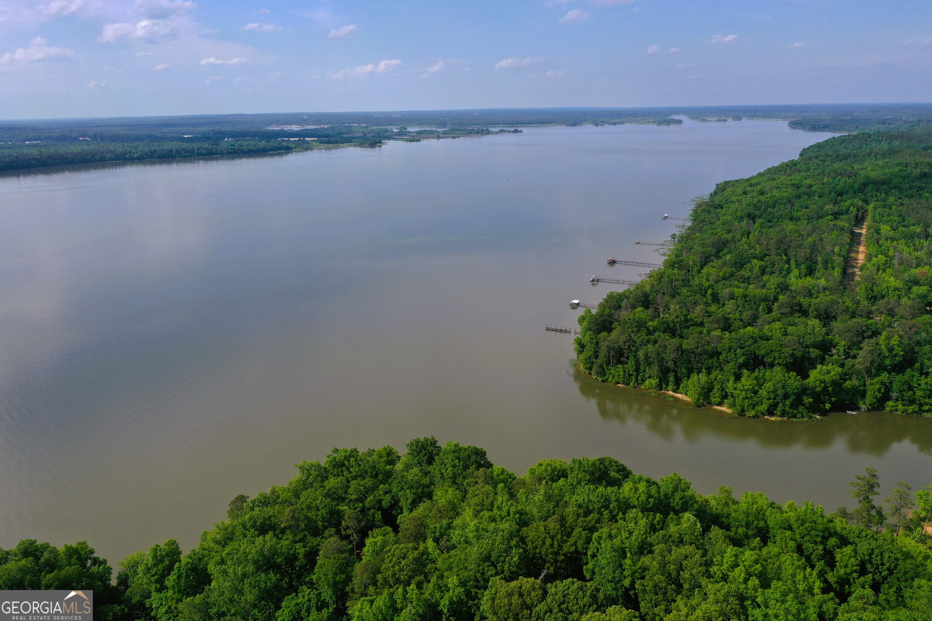 0 Watson Spur Road Georgetown, GA 39854 - Photo 16 of 32 a view of a lake from a yard