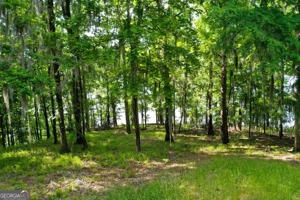 a view of outdoor space with trees all around