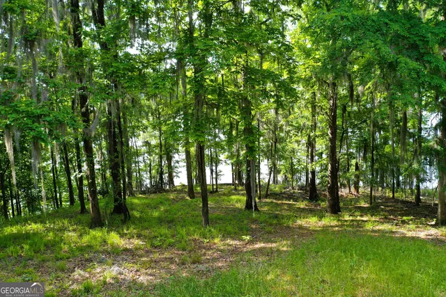 a view of outdoor space with trees all around