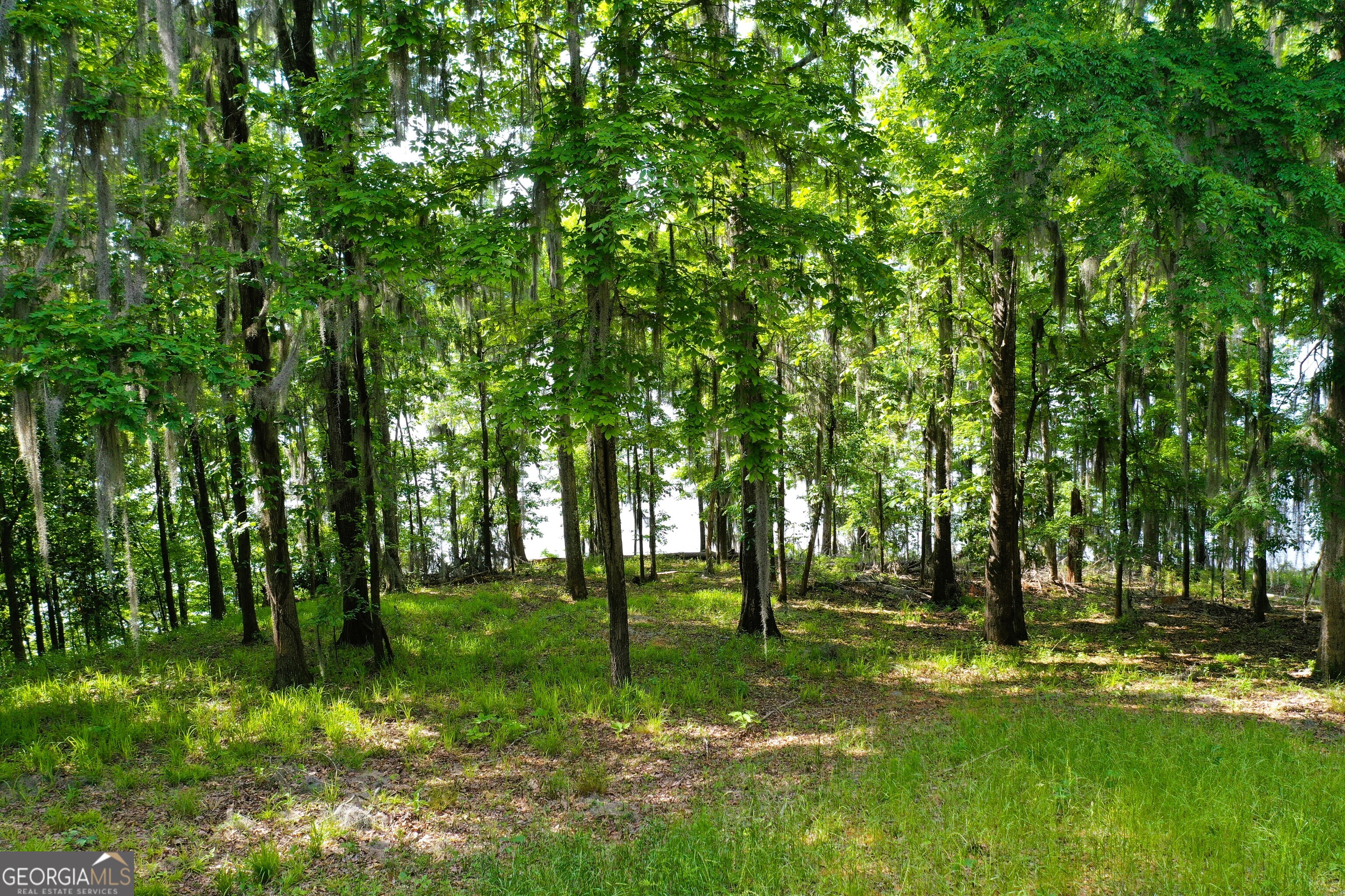 0 Watson Spur Road Georgetown, GA 39854 - Photo 18 of 32 a view of park