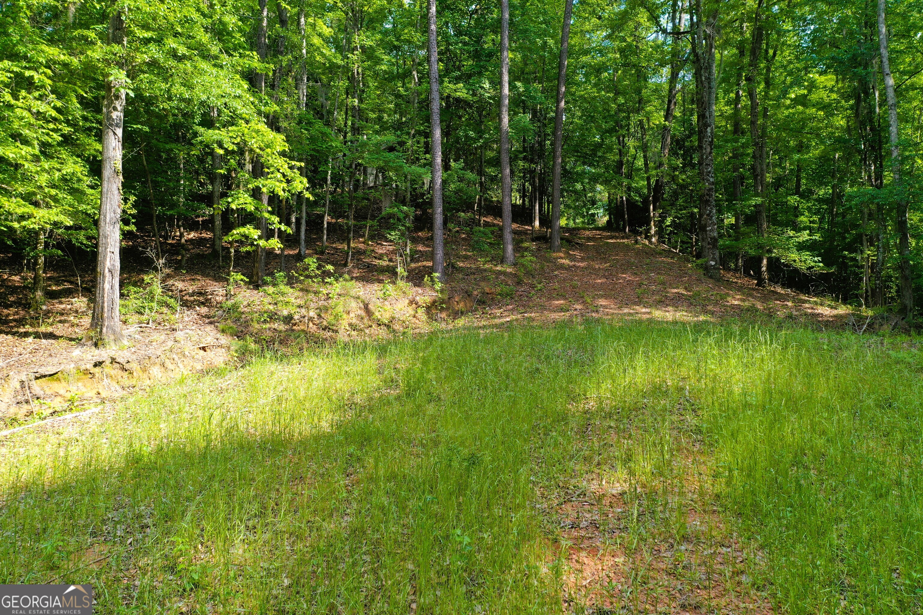0 Watson Spur Road Georgetown, GA 39854 - Photo 20 of 32 a view of yard with green space