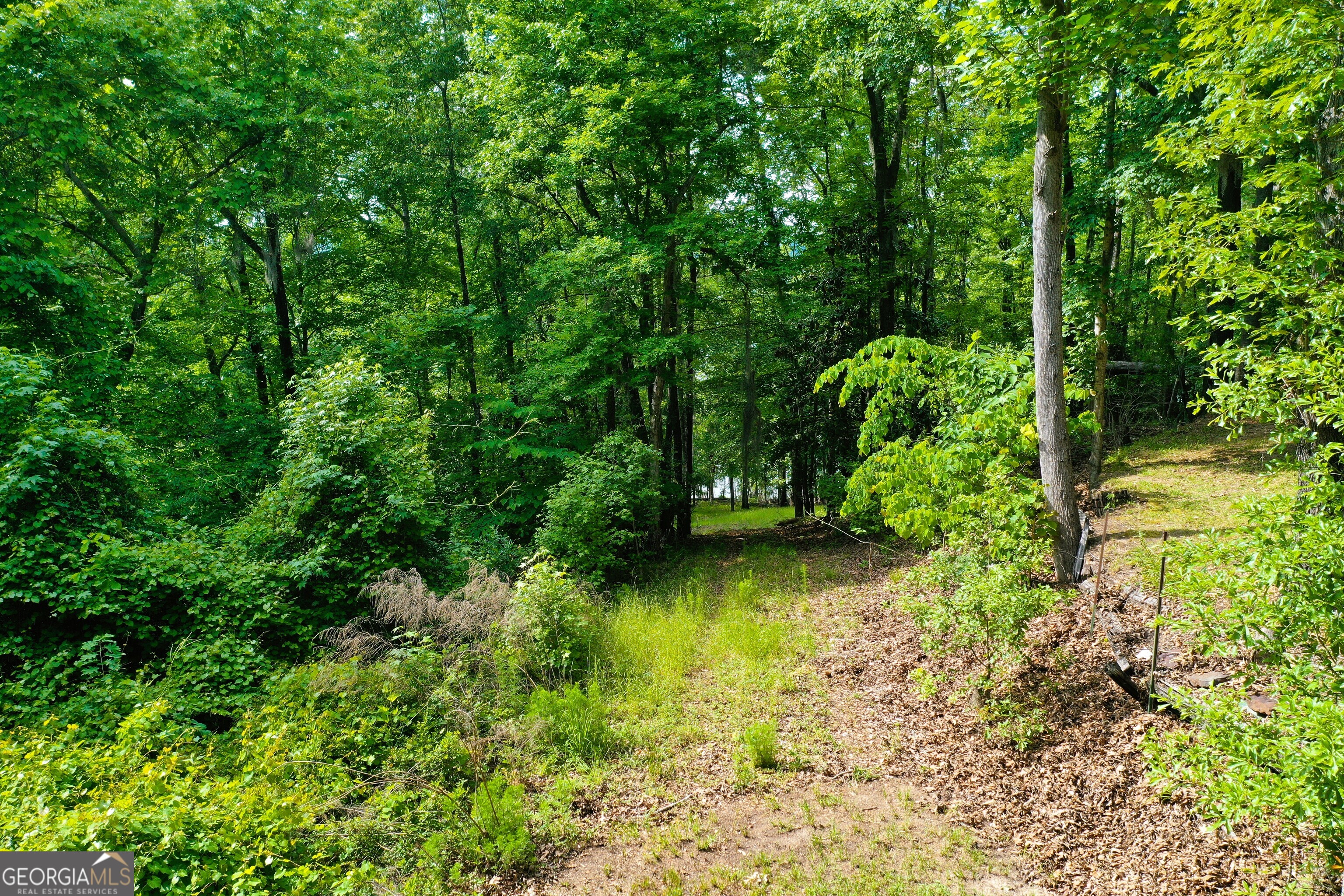 0 Watson Spur Road Georgetown, GA 39854 - Photo 2 of 32 a view of a garden with a bench