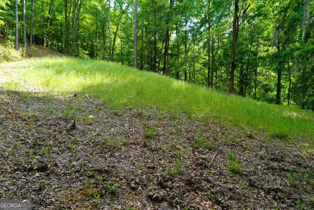 a view of backyard with green space