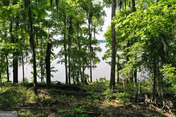 an ocean view with a lake