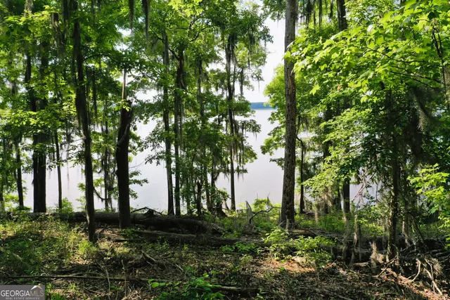 an ocean view with a lake