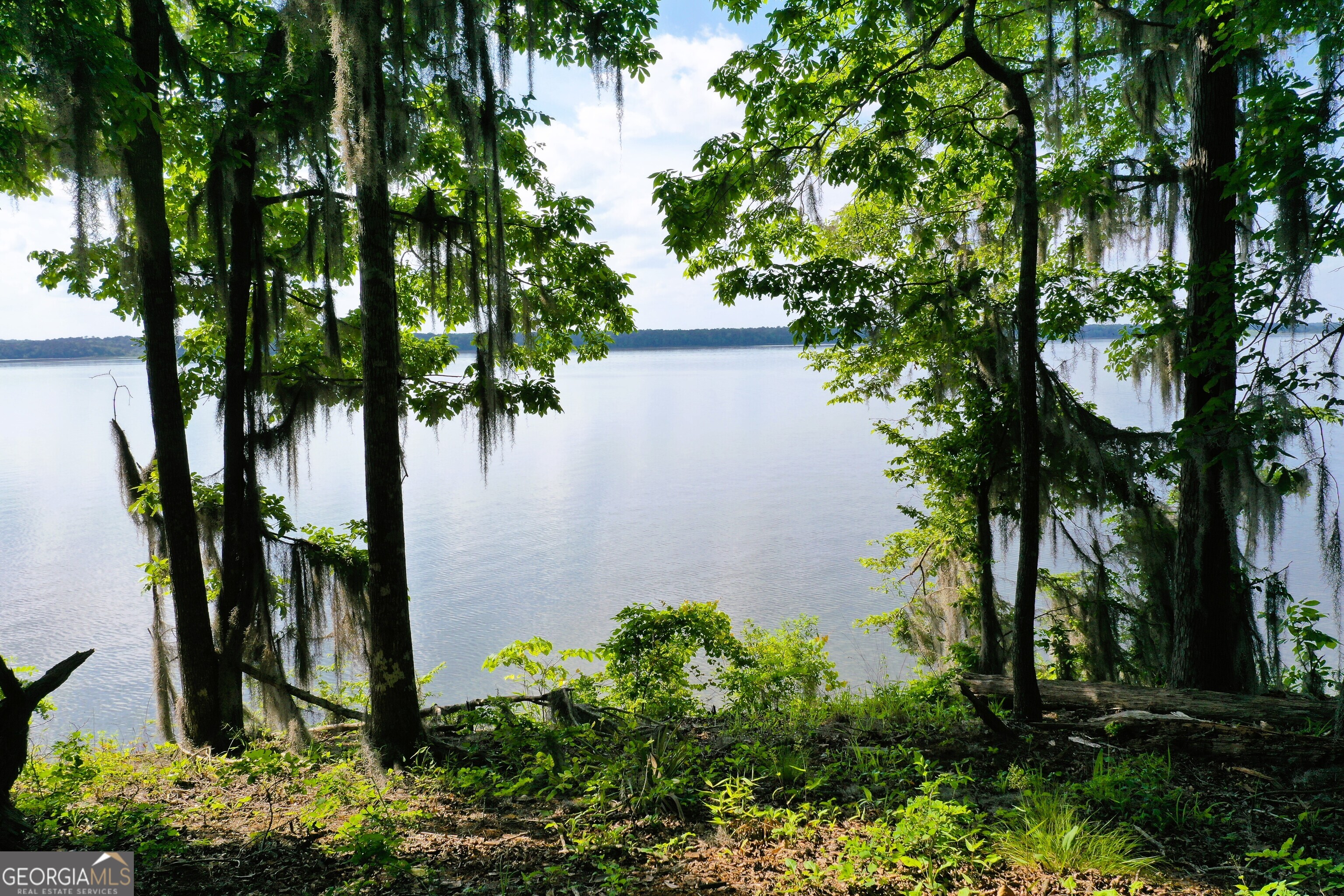 0 Watson Spur Road Georgetown, GA 39854 - Photo 23 of 32 an ocean view with a lake