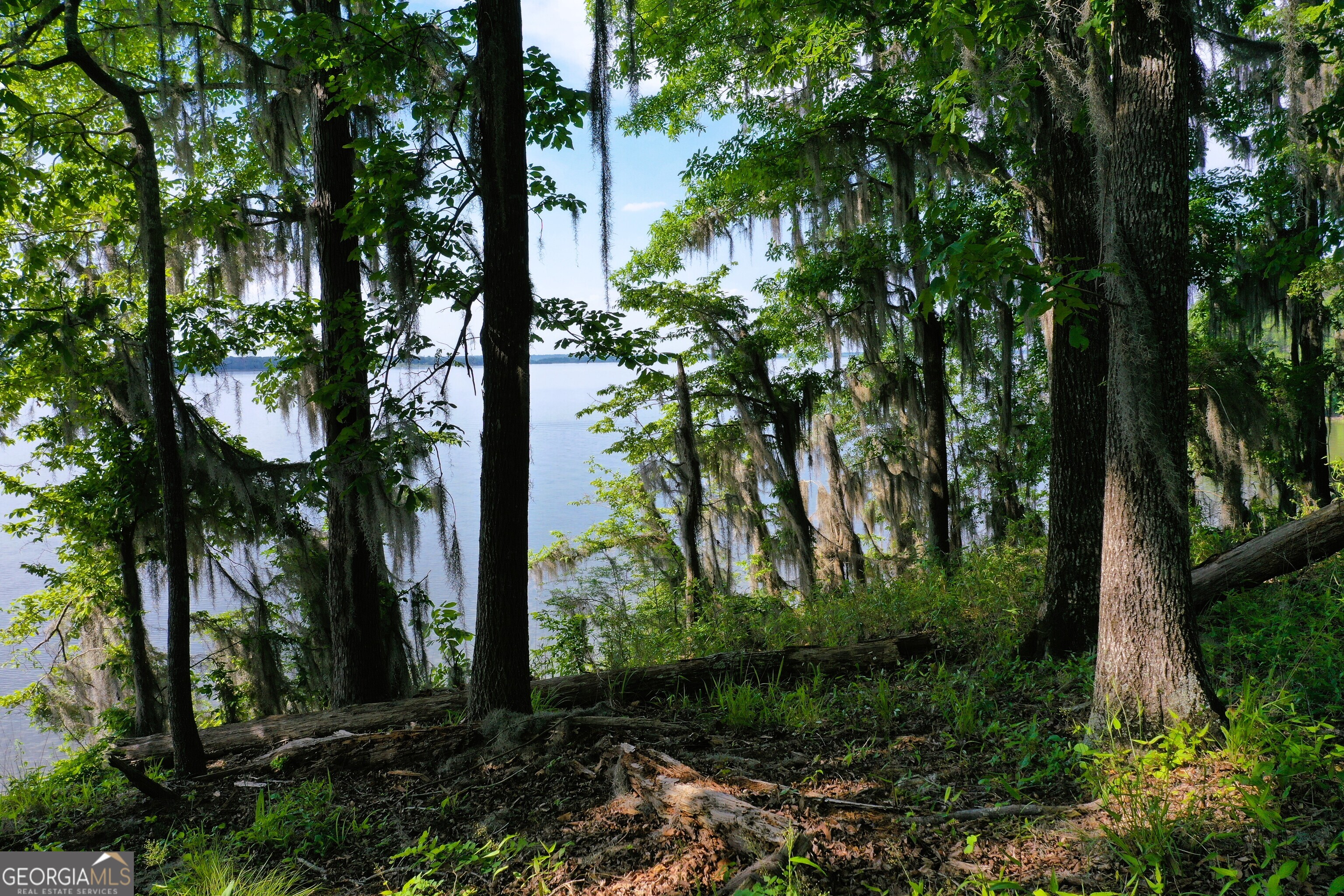 0 Watson Spur Road Georgetown, GA 39854 - Photo 24 of 32 a backyard of a house with lots of green space