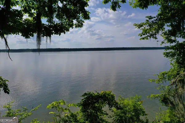 a backyard of a house with lots of green space and chair