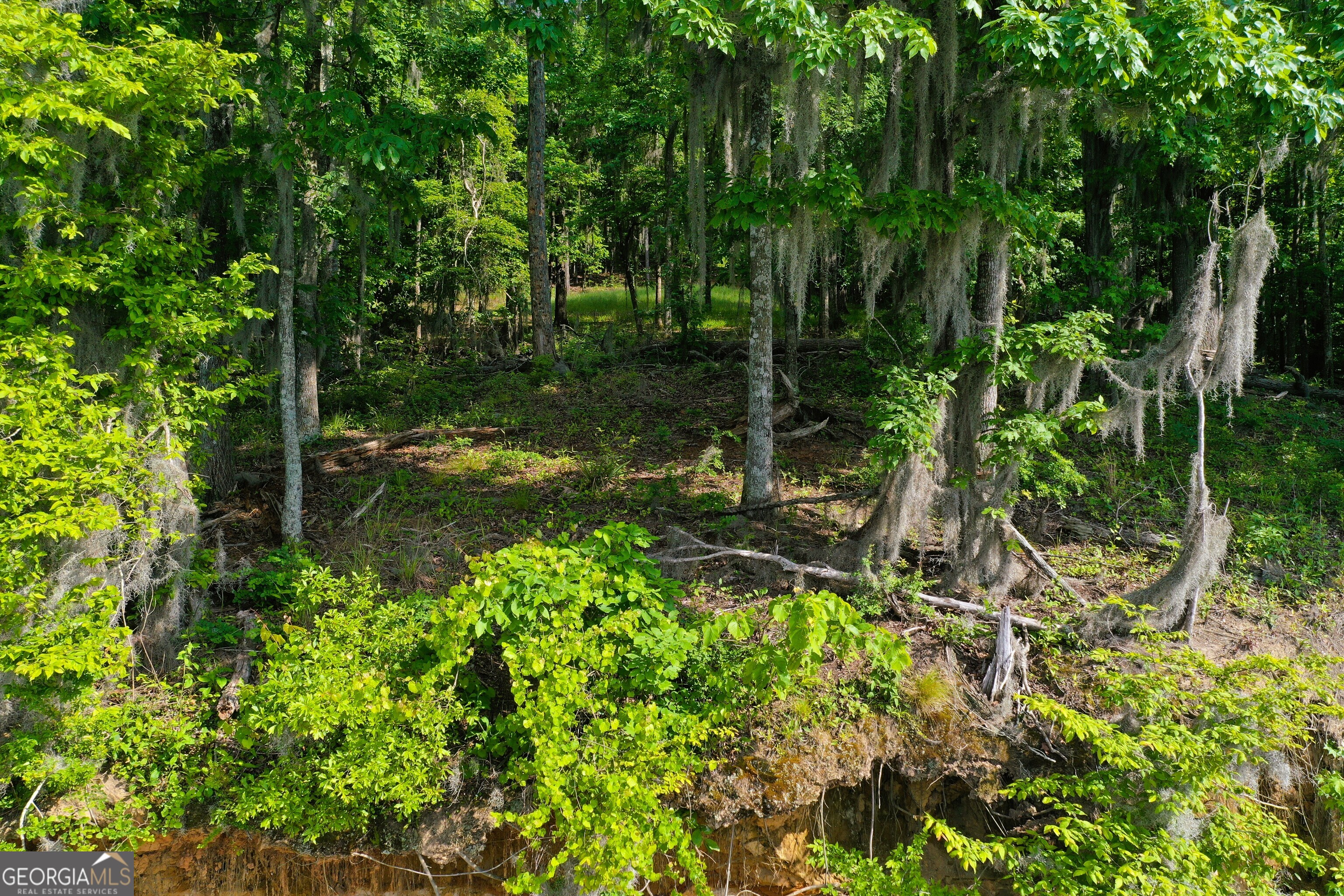 0 Watson Spur Road Georgetown, GA 39854 - Photo 26 of 32 a view of a garden with a bench