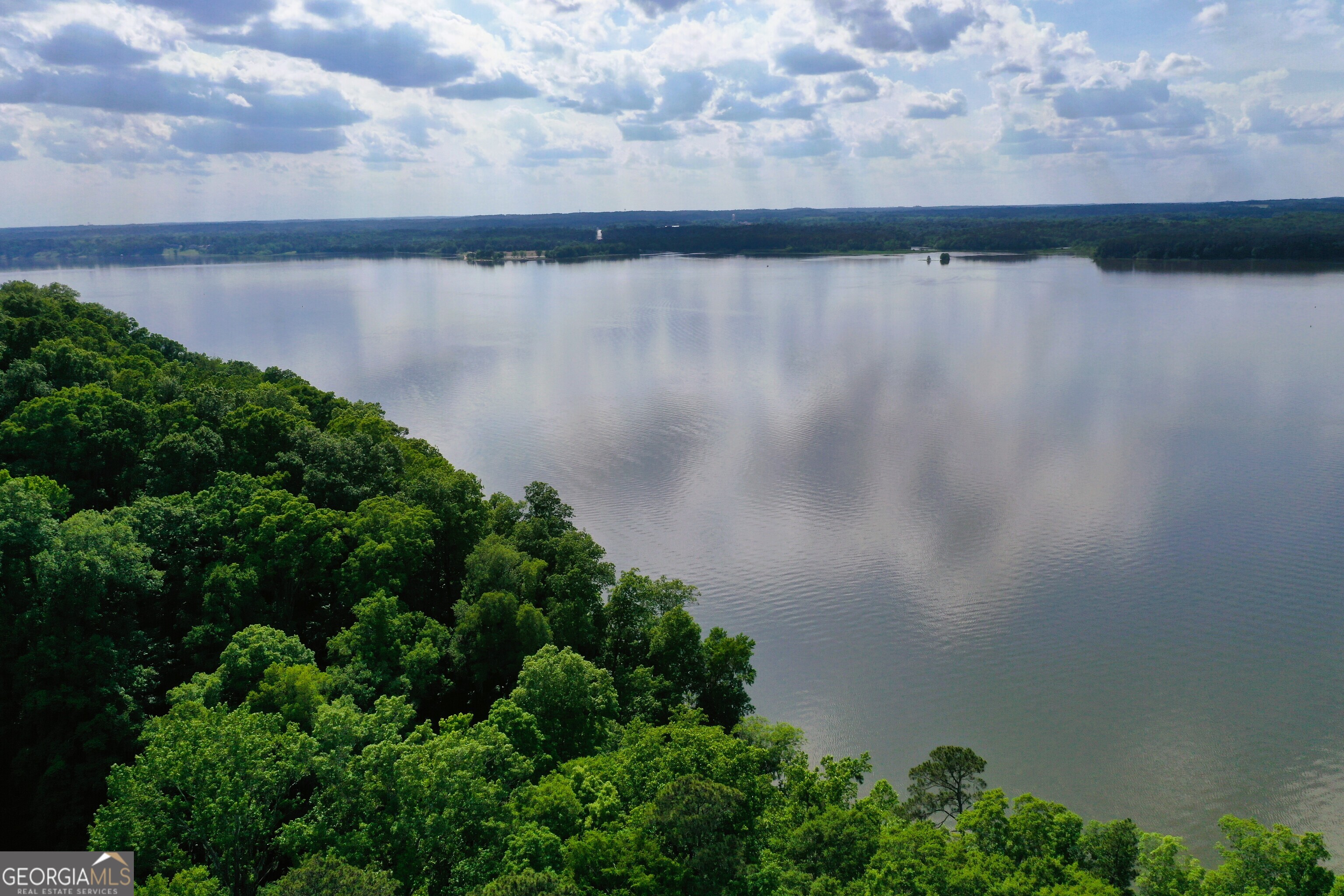 0 Watson Spur Road Georgetown, GA 39854 - Photo 30 of 32 a plant in a field