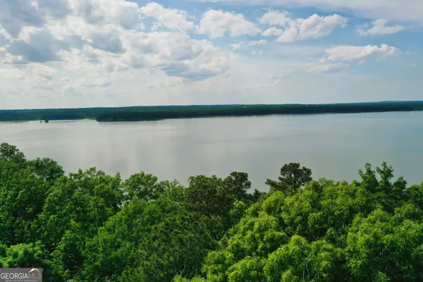 a backyard of a house with lots of green space and lake view