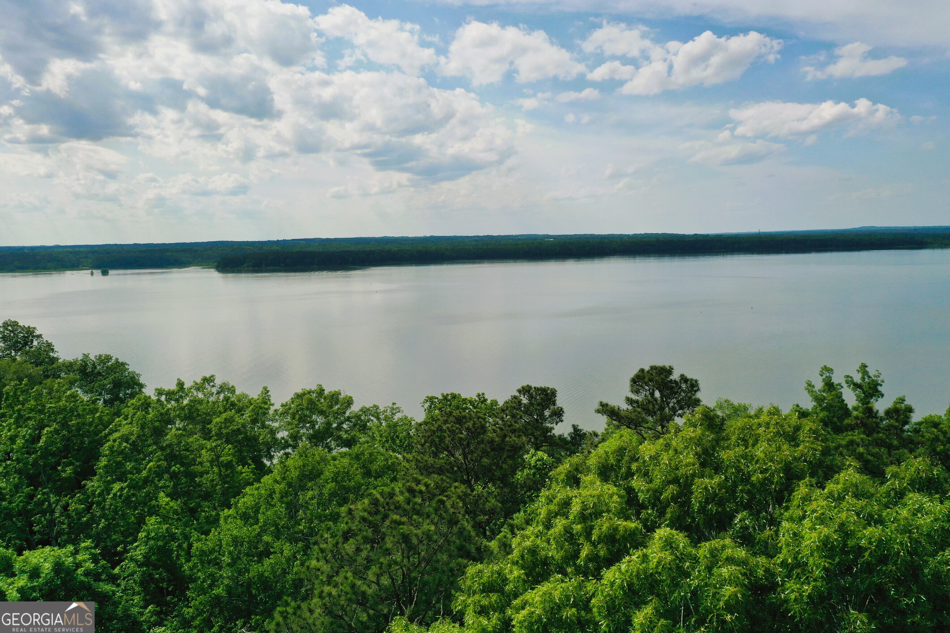 0 Watson Spur Road Georgetown, GA 39854 - Photo 3 of 32 a backyard of a house with lots of green space and lake view