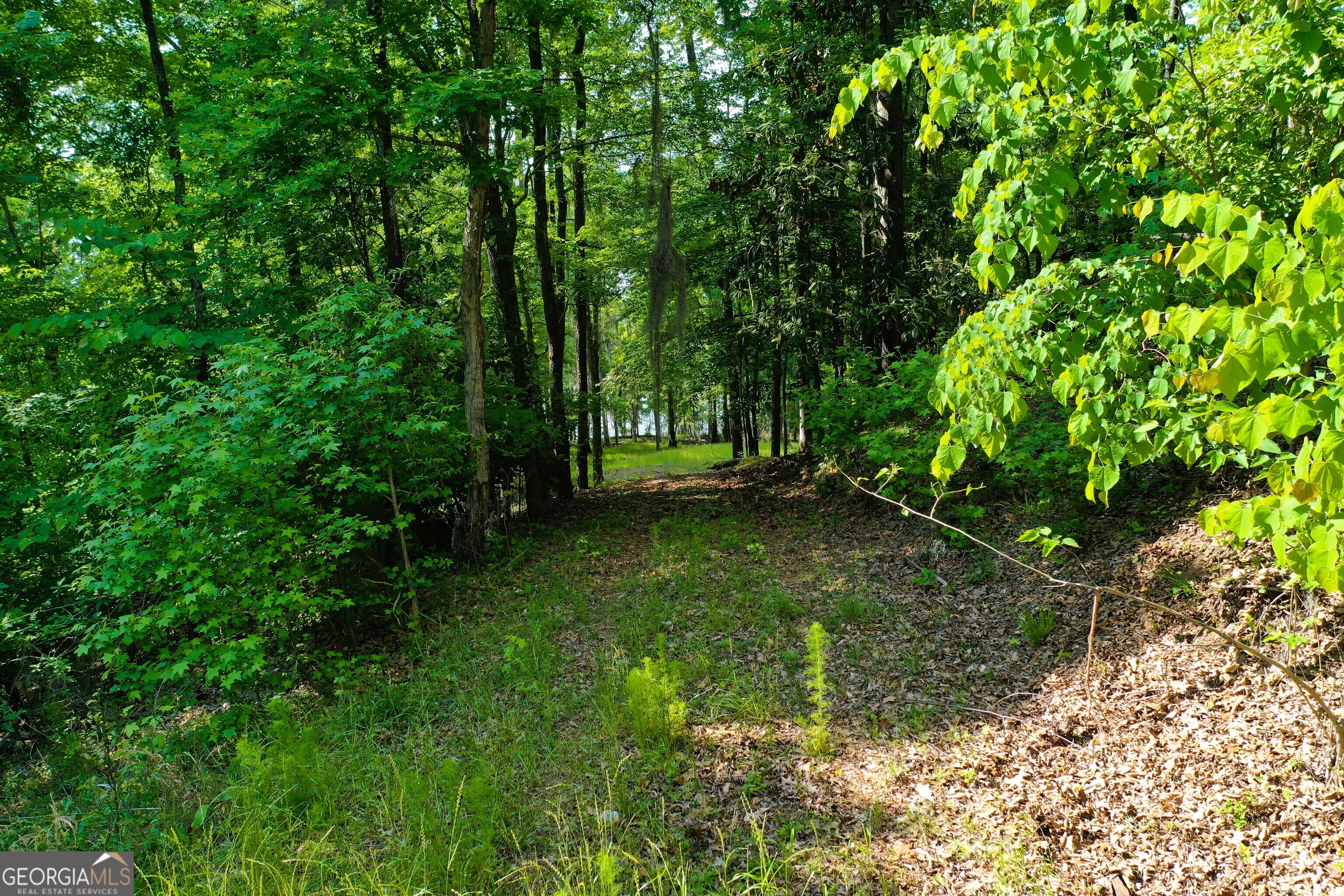 0 Watson Spur Road Georgetown, GA 39854 - Photo 31 of 32 a view of outdoor space and yard