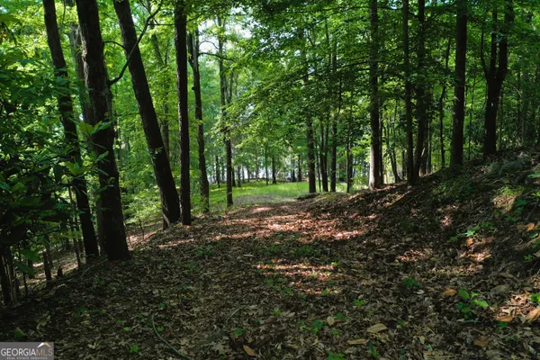 $139,750 | 0 Watson Spur Road, Georgetown, GA 39854