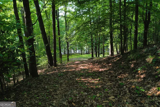 $139,750 | 0 Watson Spur Road, Georgetown, GA 39854