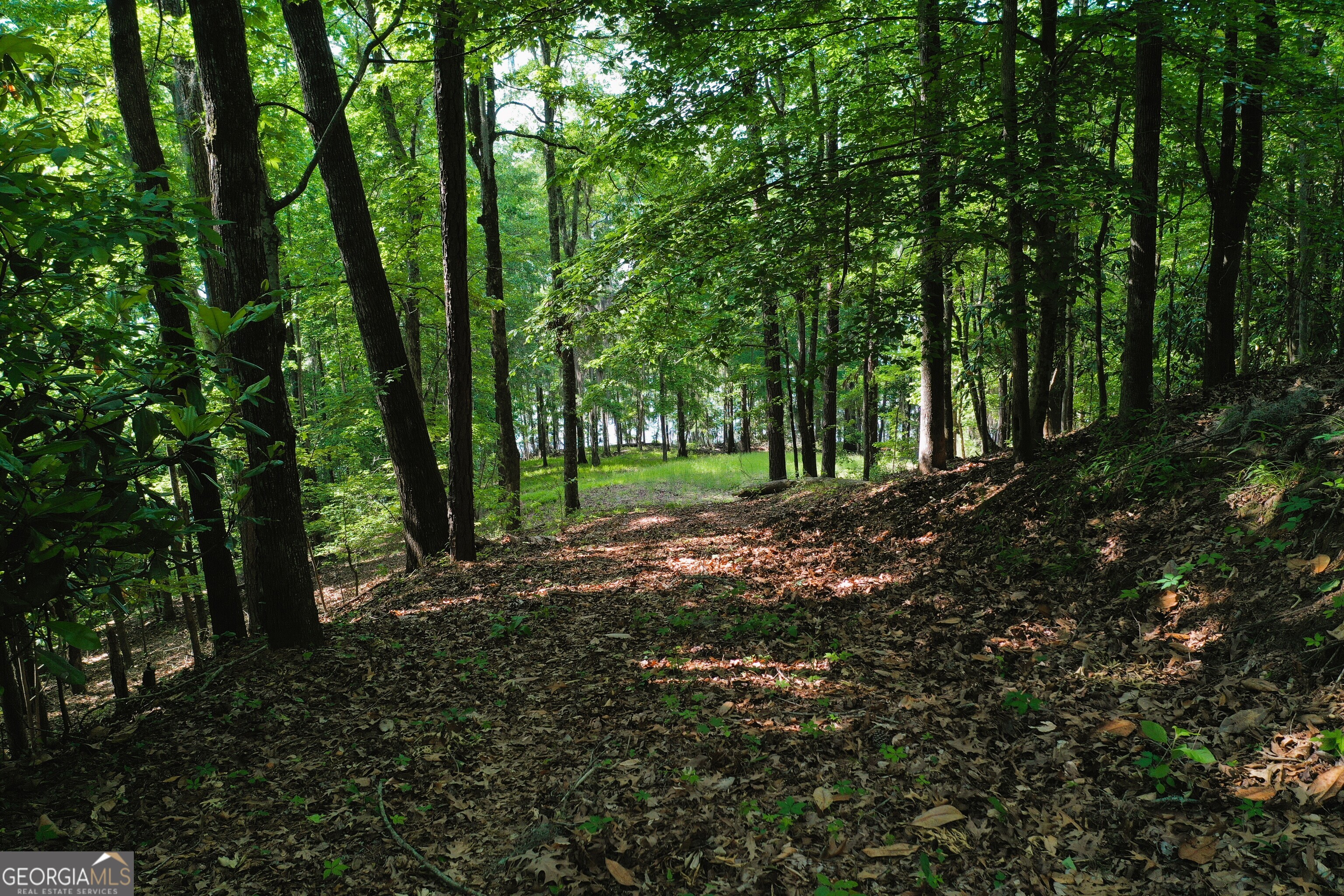 0 Watson Spur Road Georgetown, GA 39854 - Photo 32 of 32 a view of outdoor space and trees