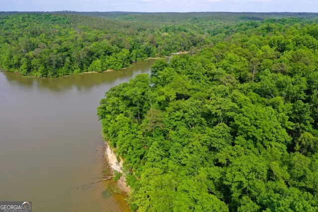 a view of a lush green space near a lake view