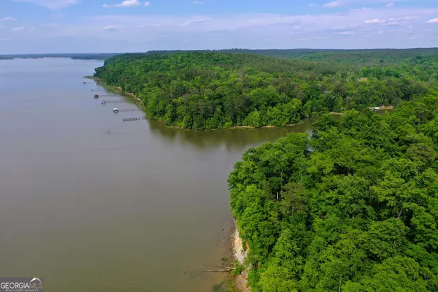 a view of a lake with a building in the background