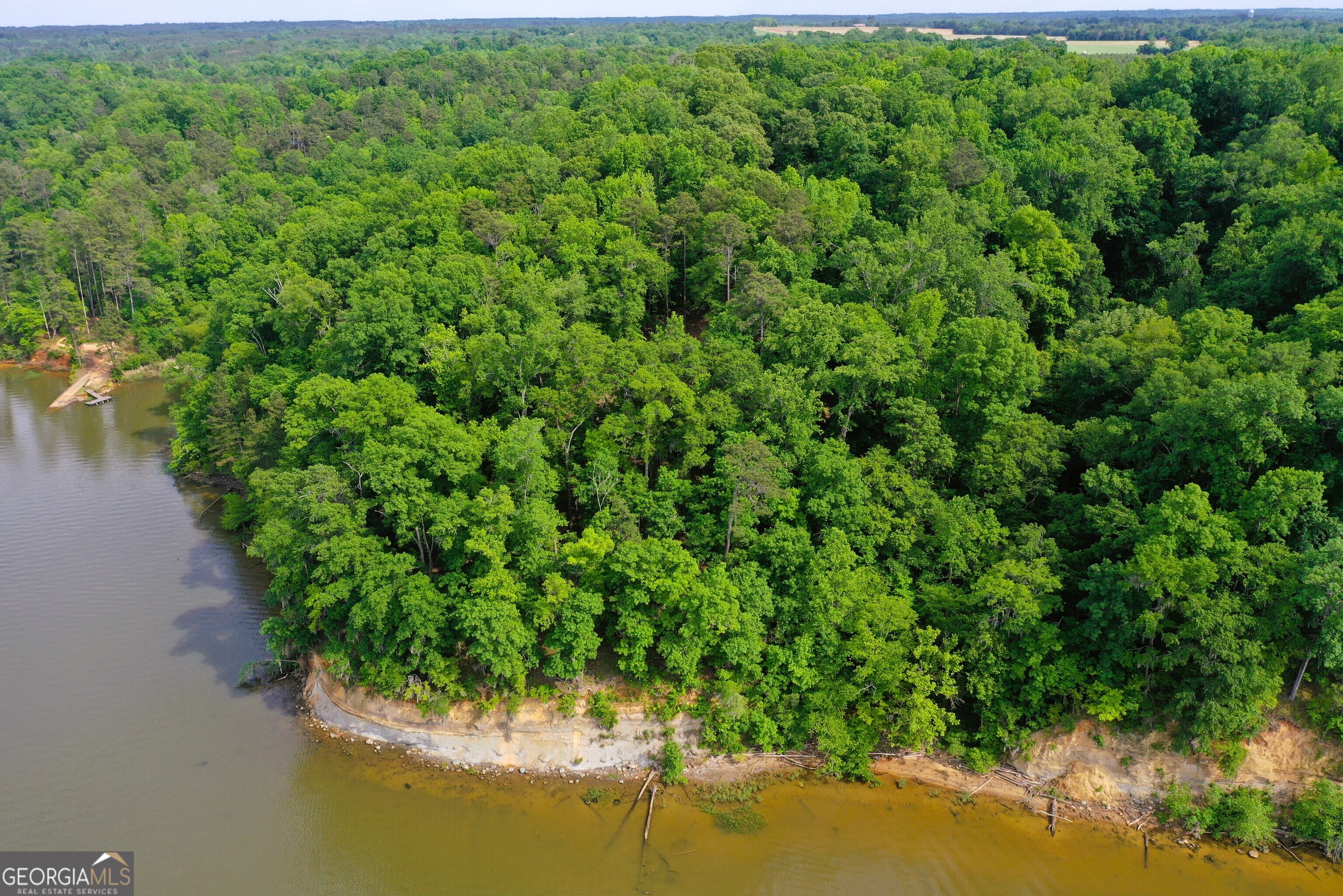 0 Watson Spur Road Georgetown, GA 39854 - Photo 6 of 32 a view of a lake with a yard