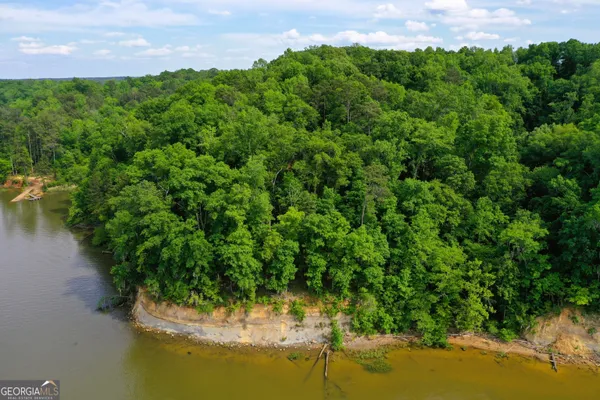 a view of a lake from a yard