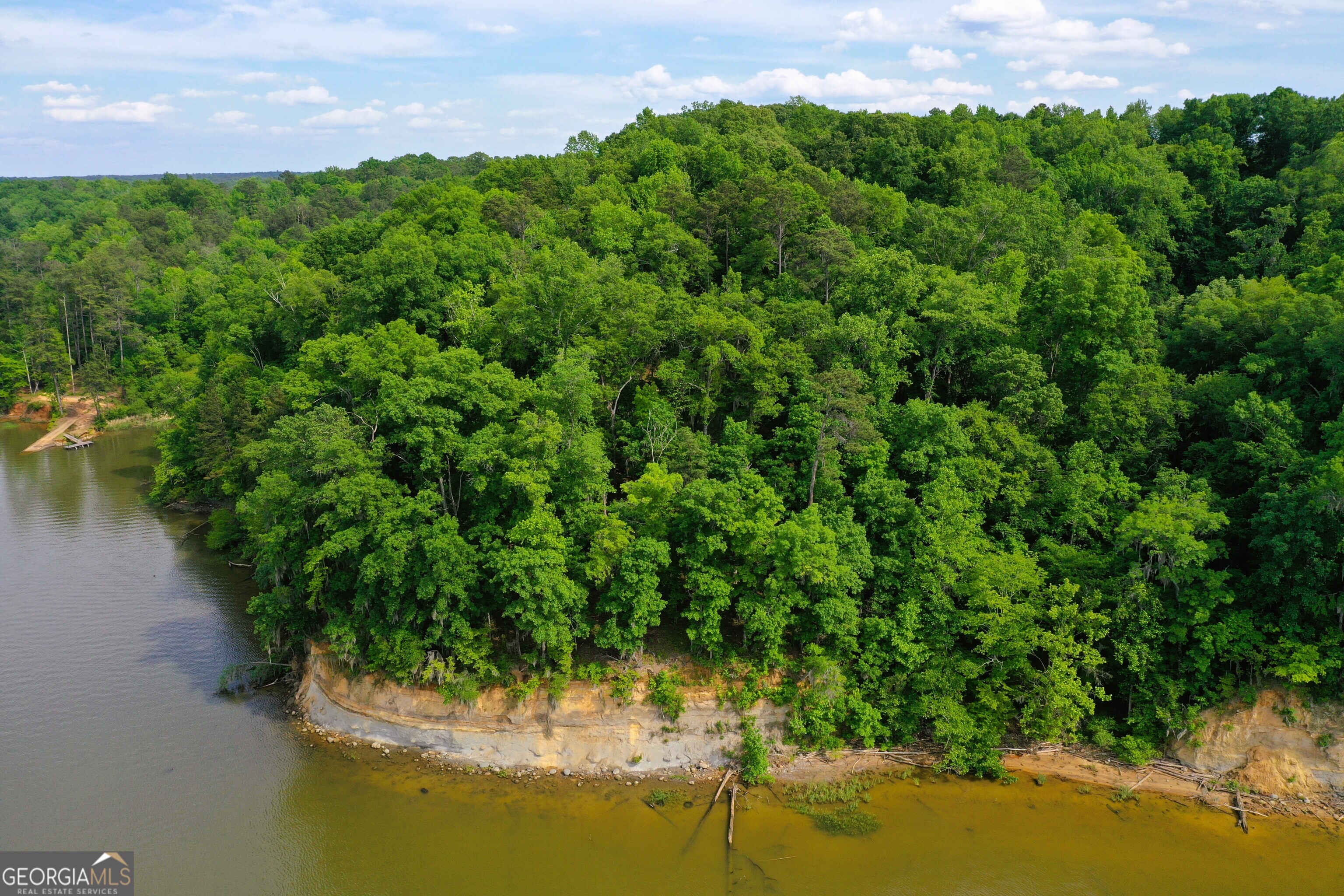 0 Watson Spur Road Georgetown, GA 39854 - Photo 7 of 32 a view of a lake from a yard