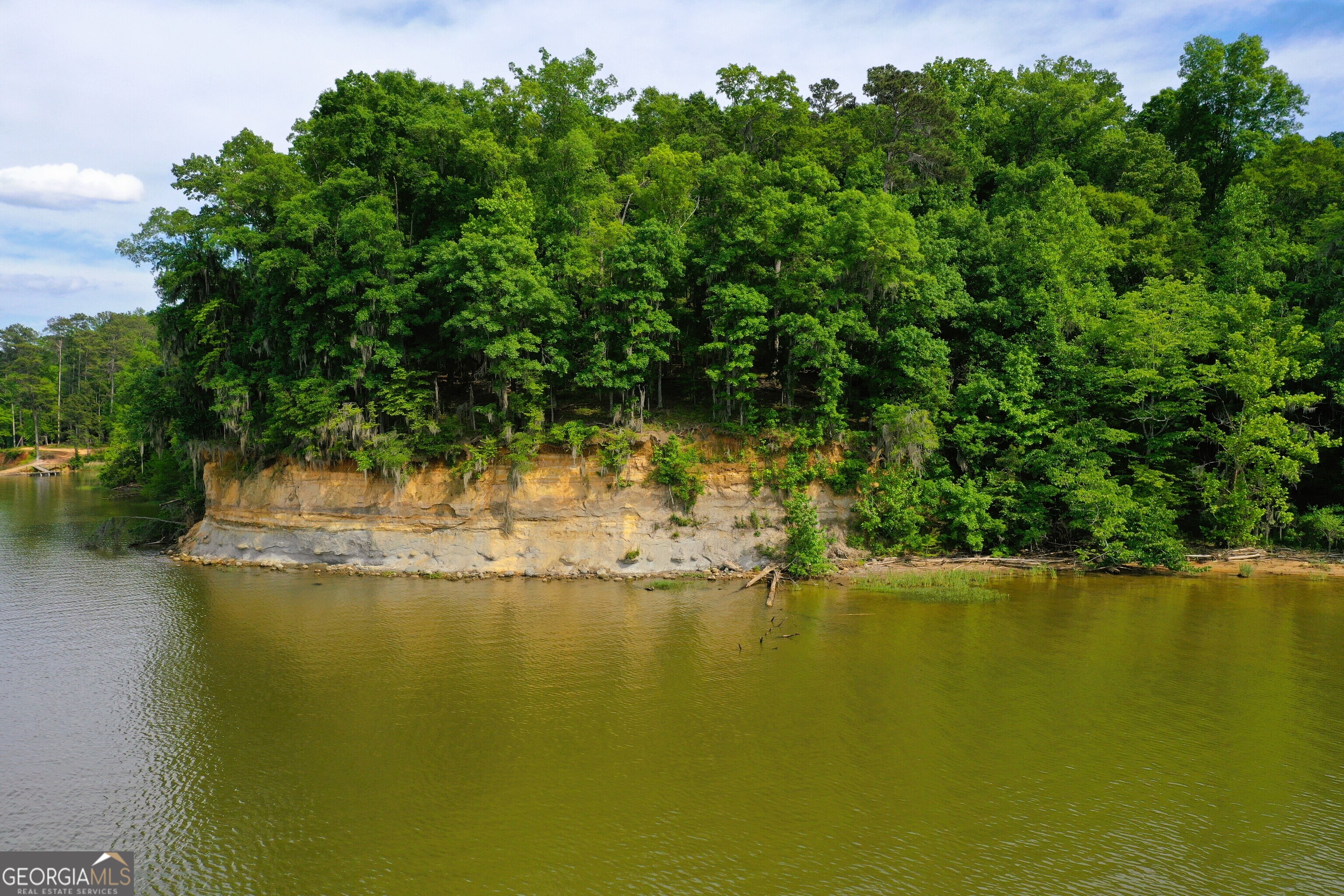 0 Watson Spur Road Georgetown, GA 39854 - Photo 8 of 32 a view of lake with trees