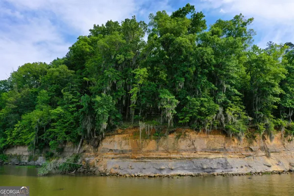 a view of lake with green space