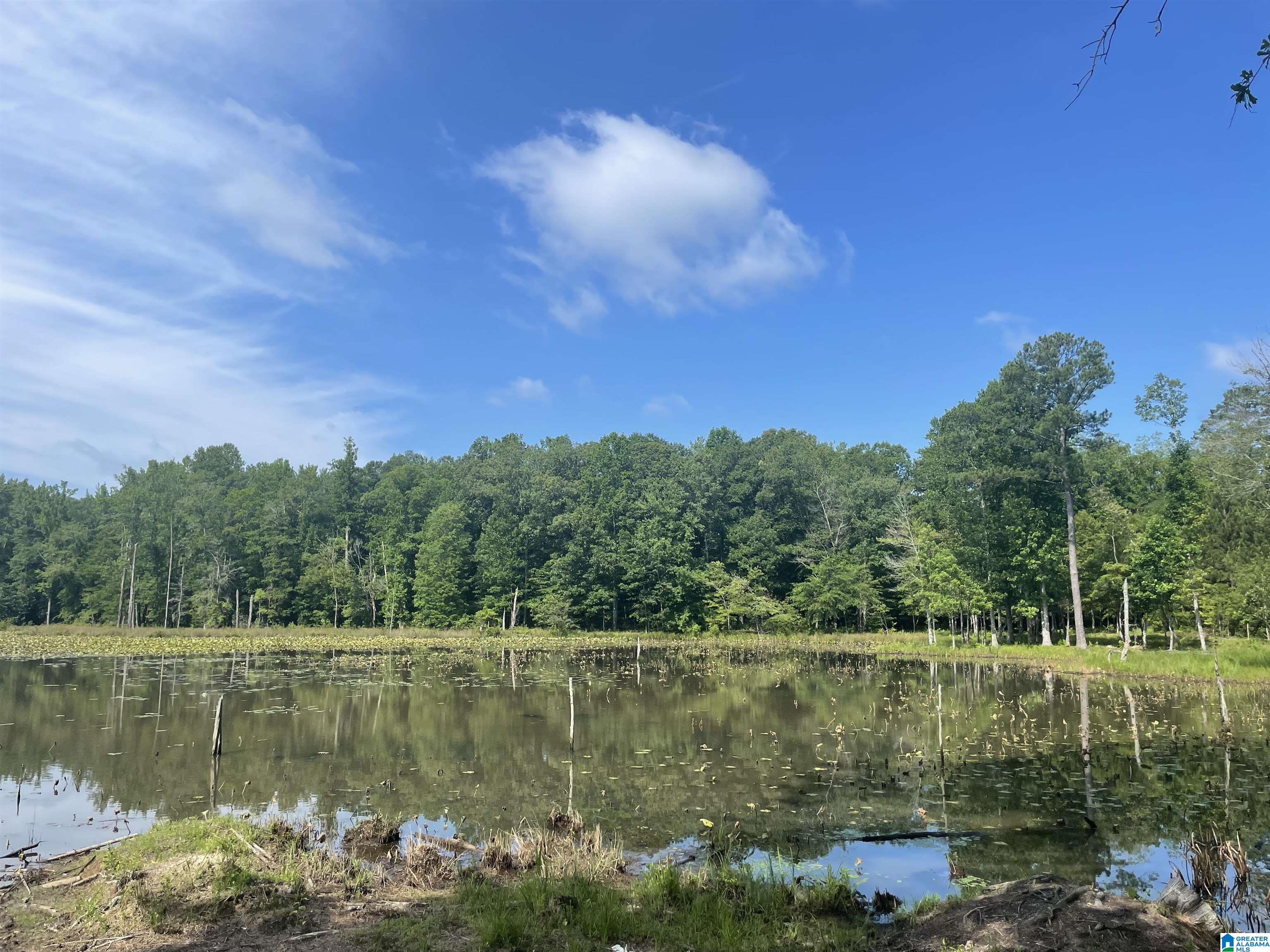 7 Gamble Road, Unit 4 McCalla, AL 35111 - Photo 3 of 6