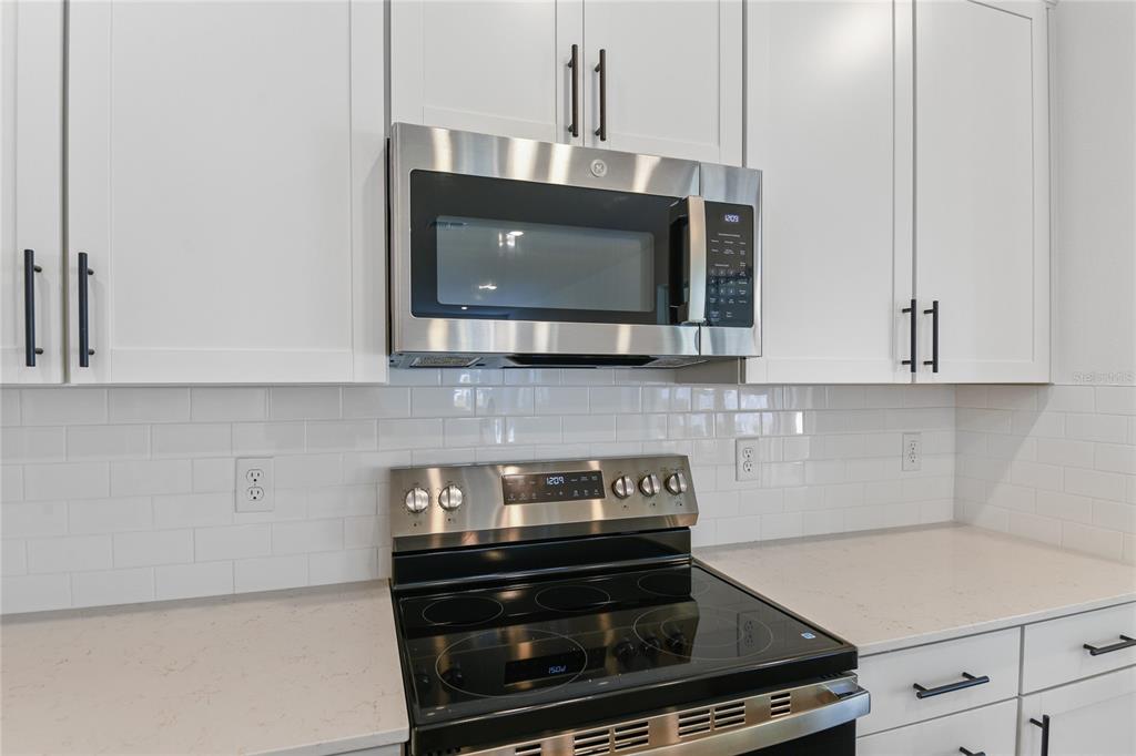 3757 Deer Rdg Drive Mount Dora, FL 32757 - Photo 4 of 17