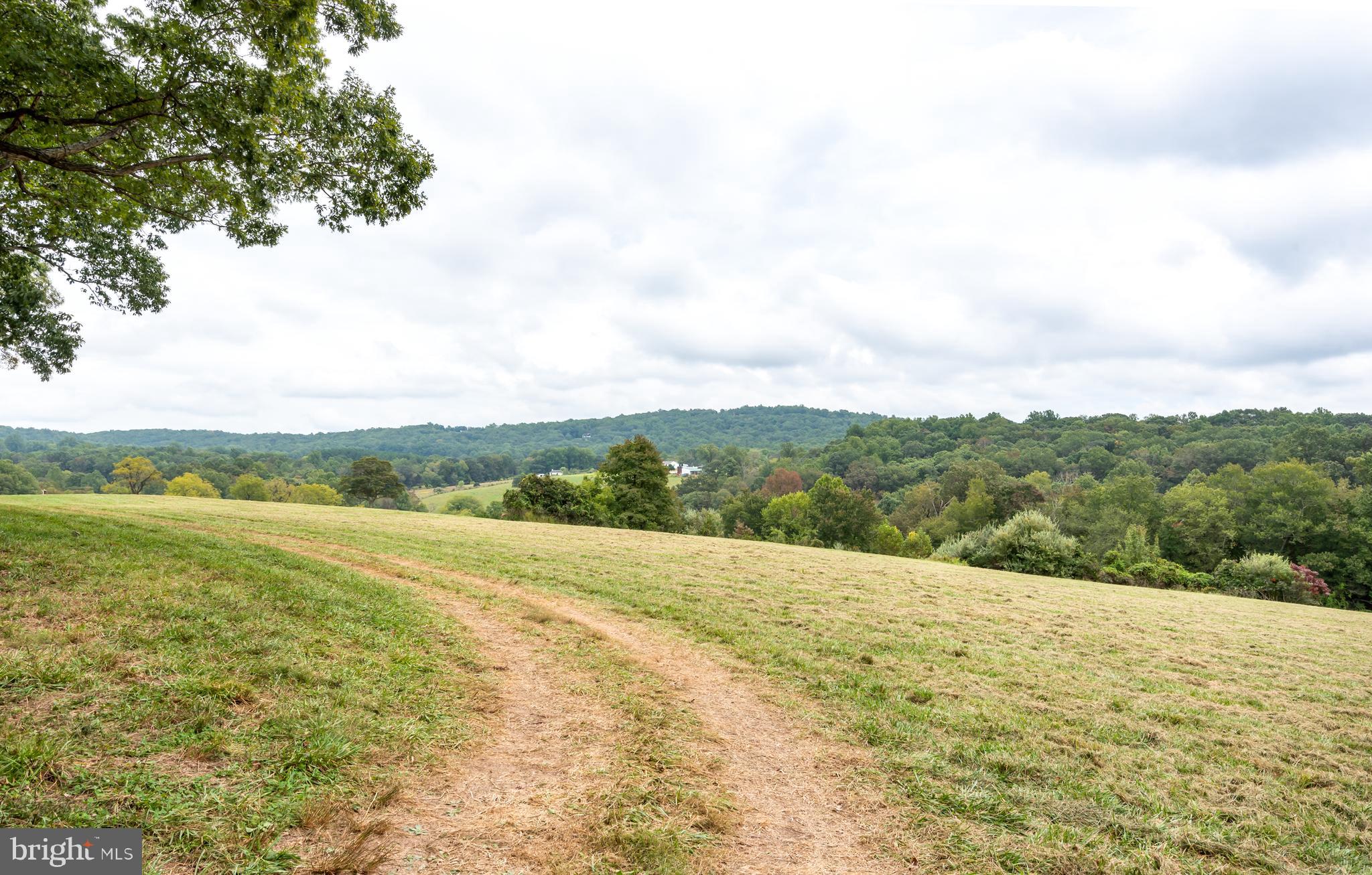 6217 Wilson Road Marshall, VA 20115 - Photo 24 of 38 Gallery Image 24