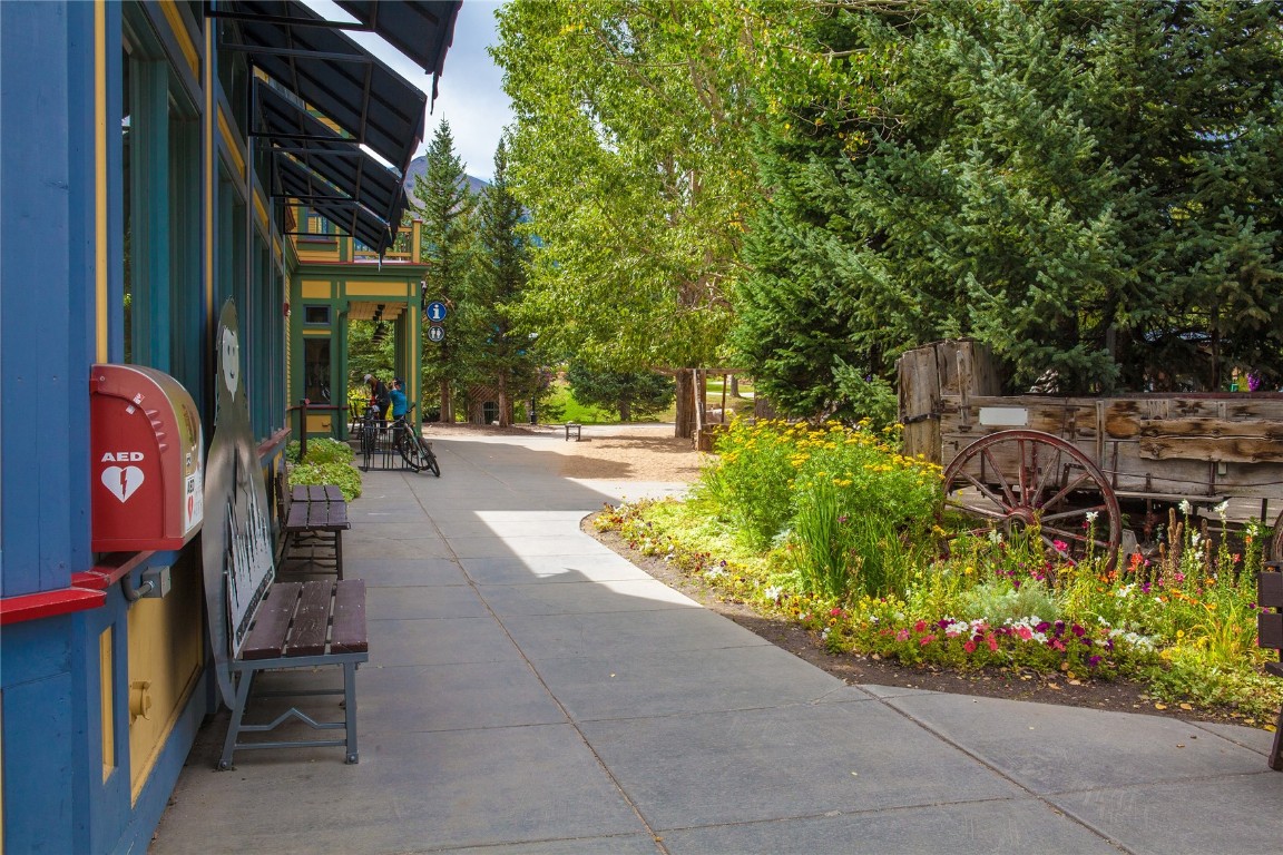 847 Airport Road Breckenridge, CO 80424 - Photo 15 of 17 a view of path along with trees