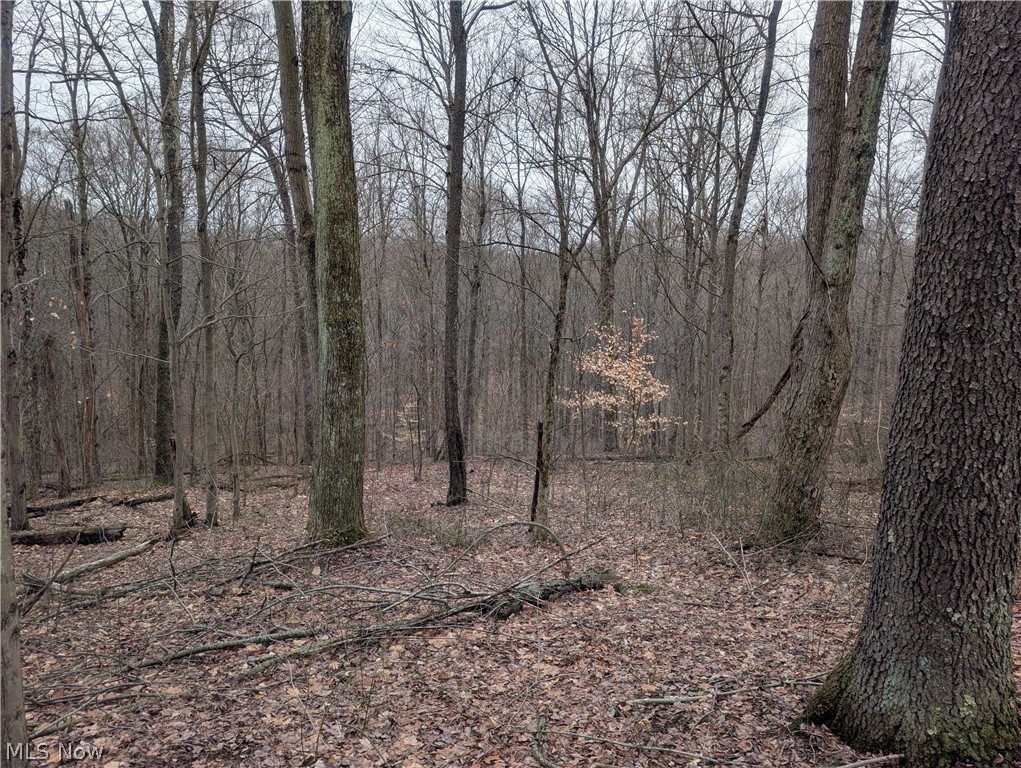 0 Tract 8 Barber Ridge Road Lewisville, OH 43754 - Photo 37 of 49 View of wooded area