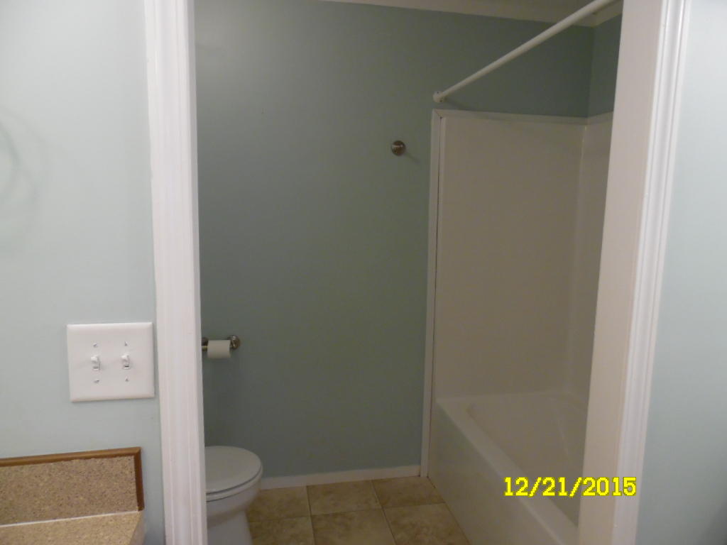 4471 Cattle Creek Road Branchville, SC 29432 - Photo 39 of 49 SAM_1628
