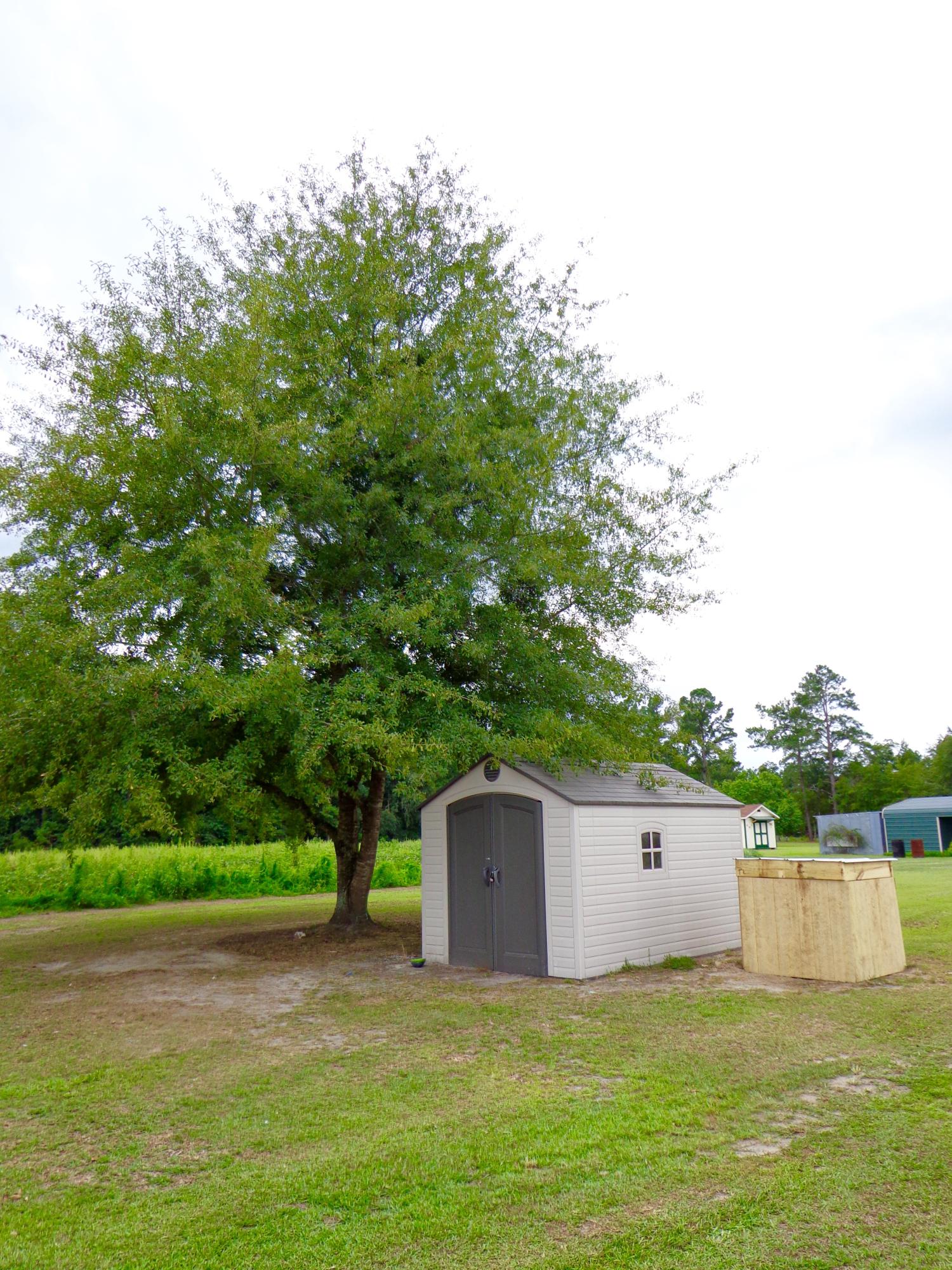 4471 Cattle Creek Road Branchville, SC 29432 - Photo 48 of 49 Lifetime Shed