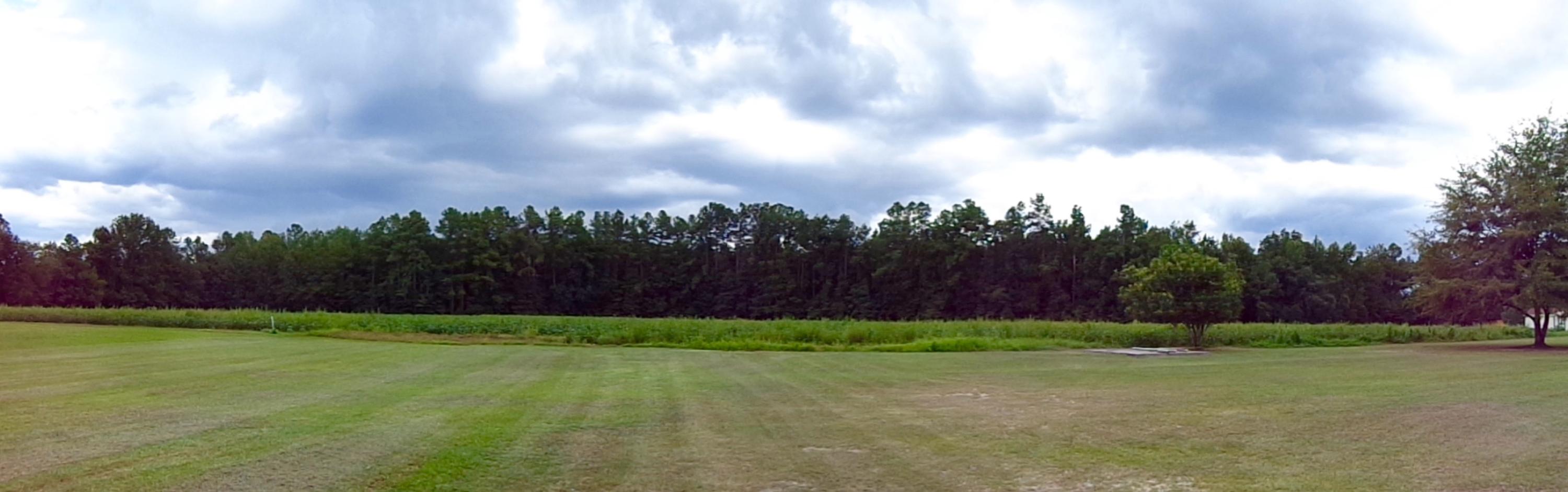 4471 Cattle Creek Road Branchville, SC 29432 - Photo 49 of 49 1.33 Acres