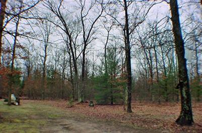 11682 Henderson Road Montague, MI 49437 - Photo 2 of 4 Additional Photo